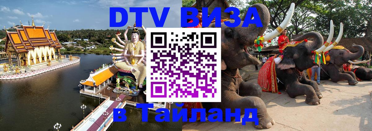 Сколько стоит DTV виза — актуальные цены, оформление даже без документов - 10.01.2026 